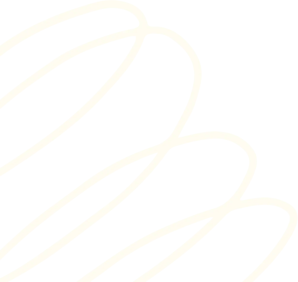 Abstract cream-colored curved lines forming overlapping petal-like shapes on a black background.